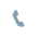 Voice media type
