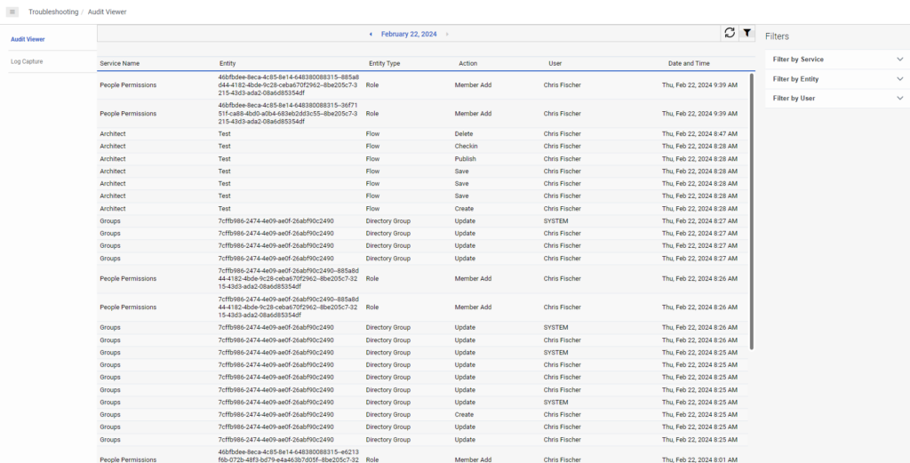 Image of the full-page audit viewer