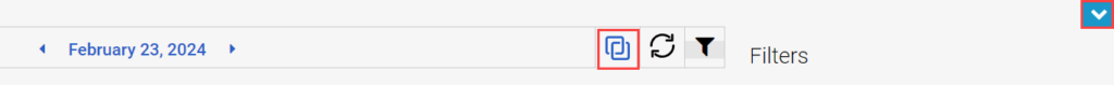 Image of the options to view full page audit viewer and hide the audits footer
