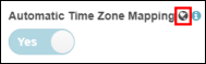 Figure shows the automatic time zone mapping icon