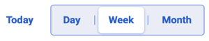 Day-month-week selector