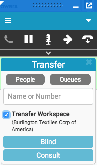 Click to enlarge. Transfer workspace window
